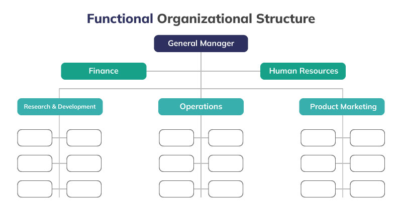 contoh struktur organisasi fungsional