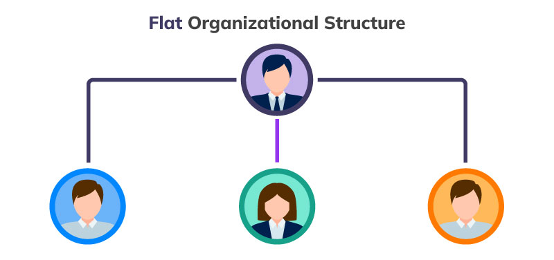Struktur Organisasi Datar